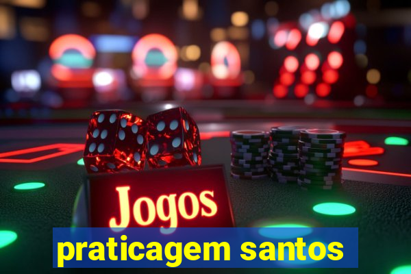 praticagem santos